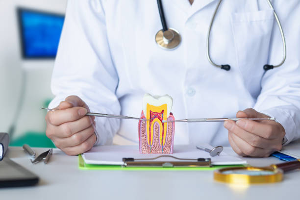 Best Broken or Cracked Tooth Emergency Dentist in Miami Heights, OH